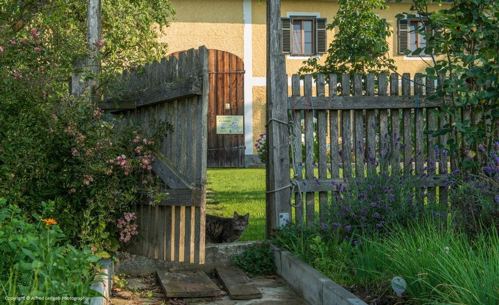 Weslhof Villa Attersee Exterior foto